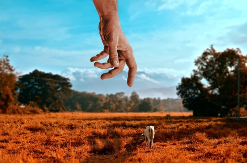 Tiny fantasy landscapes