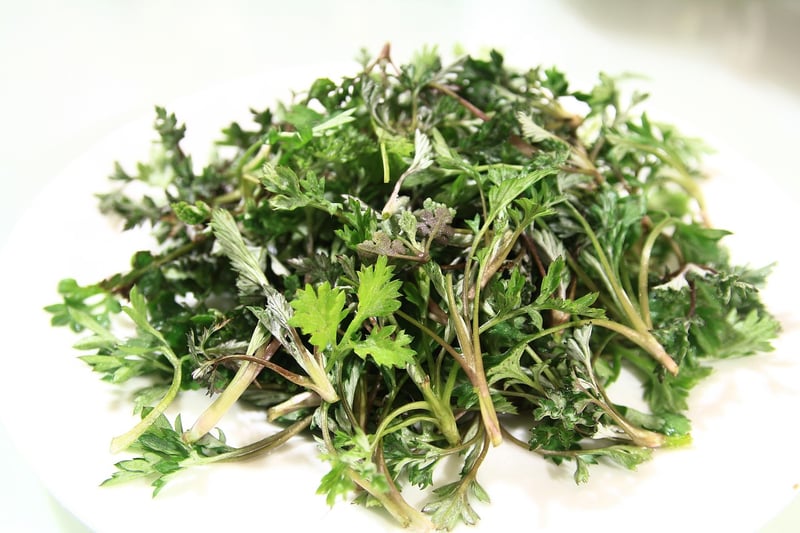 Mugwort Herb